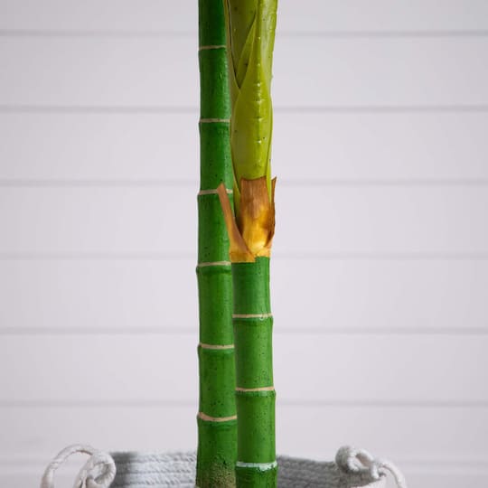 8ft. Golden Cane Palm Tree in Handmade Natural Cotton Planter